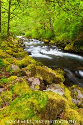 Overwhelming Greens