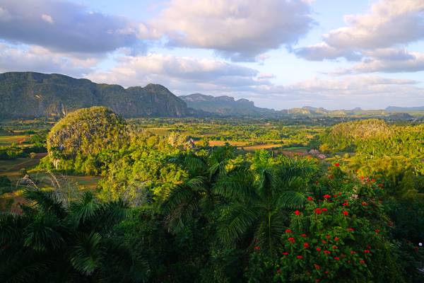 Exciting panorama of Viñales valley, Cuba