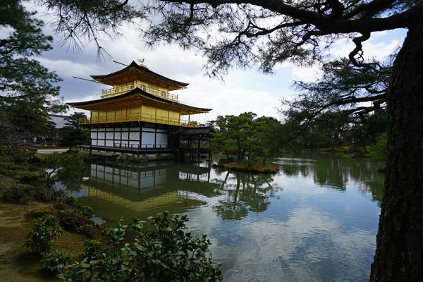 Miracle of the Golden Pavilion, Kyoto