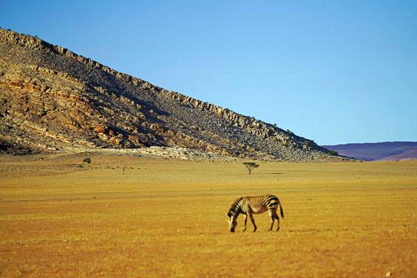 Peaceful Namibian scenery