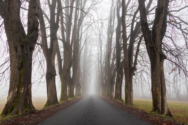 Direzione: il nulla (AL)