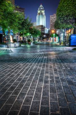 Little Tokyo City Hall- Los Angeles