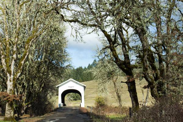 Harris Covered Bridge Oregon