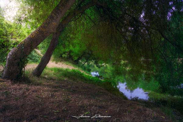 La Orden. Burgos