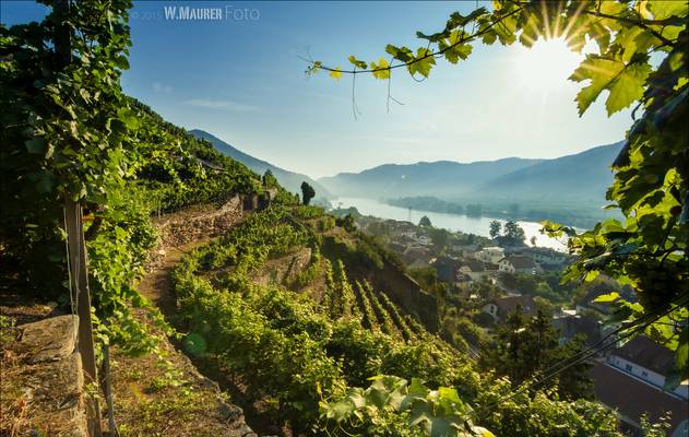 Wachau