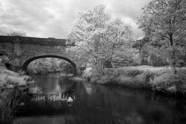 River Avon and Kennet and Avon Canal Aquaduct at Avoncliff, Infra Red