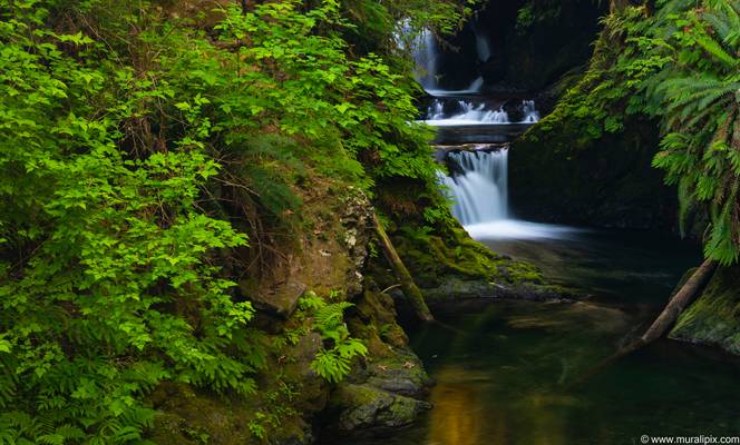 Willaby Creek Falls