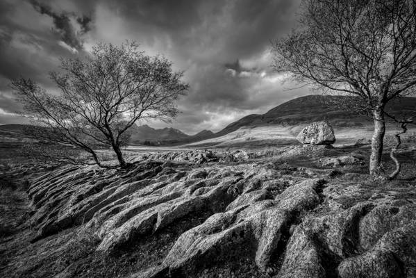 Limestone Pavement