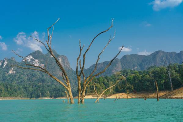 Thailand, Khao Sok Nationalpark