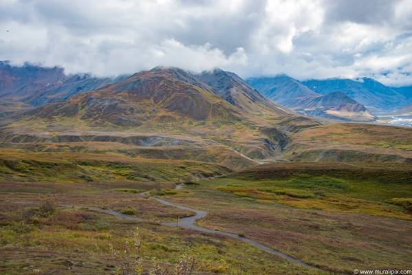 Denali - Eielson Visitor Center