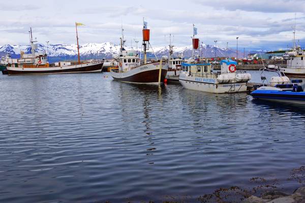 Cold water of Húsavík port
