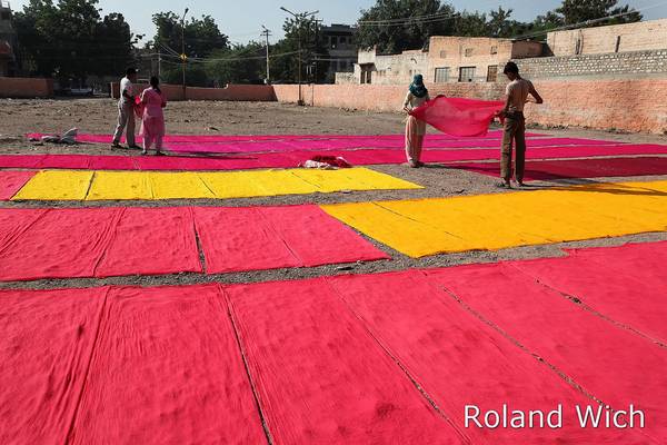 Jodhpur - Drying dyed cloth