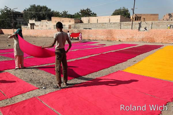 Jodhpur - Drying dyed cloth