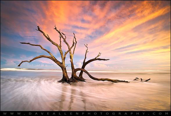 Folly Beach Charleston SC Sunset - The Calm