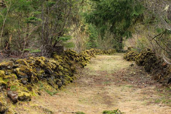 Old covered wagon trail at Fish Lake, Oregon