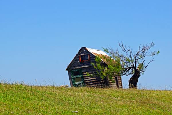 Bending hut & bending tree, Cabo Polonio