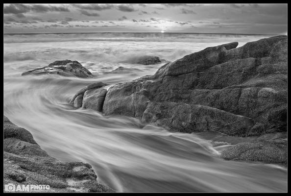 Gray Whale Cove