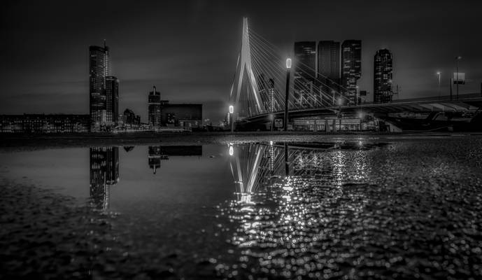 Rotterdam Reflected