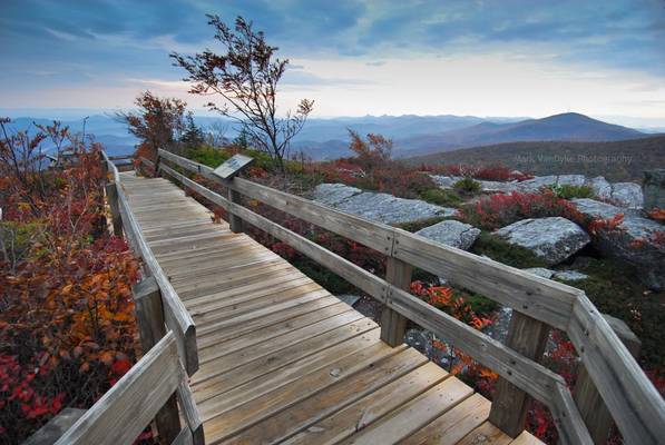 Rough Ridge Boardwalk