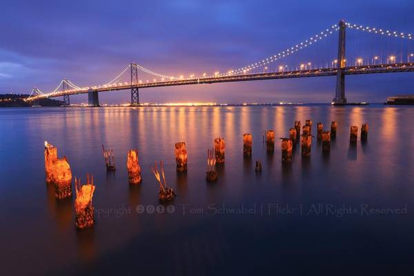 The Seagull's Living Room