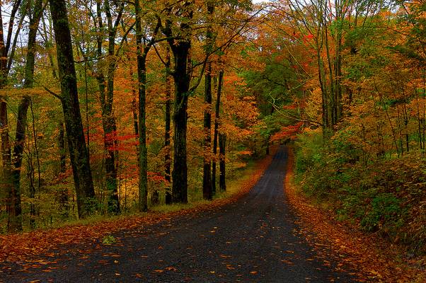 the colorful road to winter