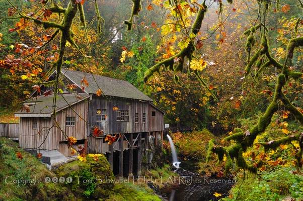 Old Fashioned Autumn