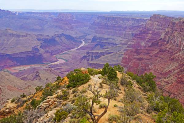 Colorado River from Desert View Point, Grand Canyon