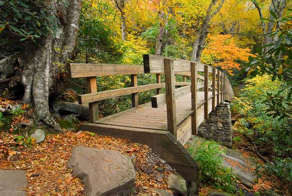 The Tanawha Trail