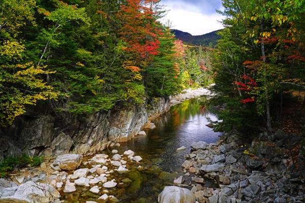 Wonderful autumnal scenery with the Swift River, New Hampshire