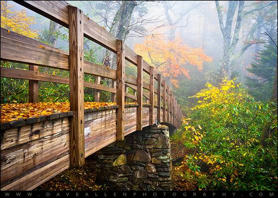 Tanawha Trail Foot Bridge - Rough Ridge Autumn Foliage NC