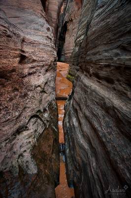 Entering the Waterfall Room