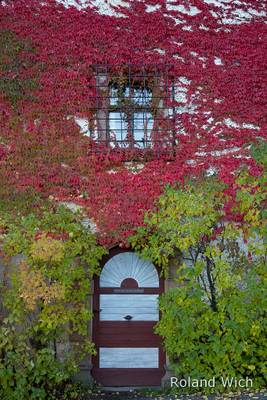 Zinnenberg - Autumn Colours