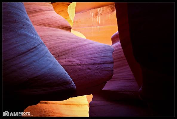 Rocky, Antelope Canyon's Guard Dog [Explored]