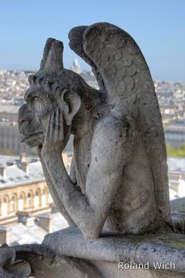 Paris - Gargoyle on Notre Dame