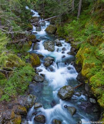 Nickel Creek @ Mt. Rainier NP