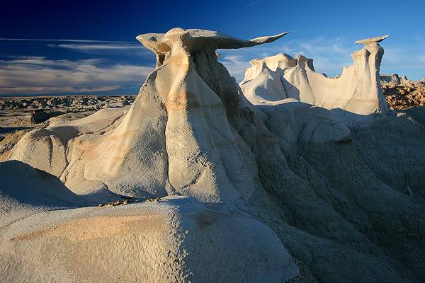 Desert Wings