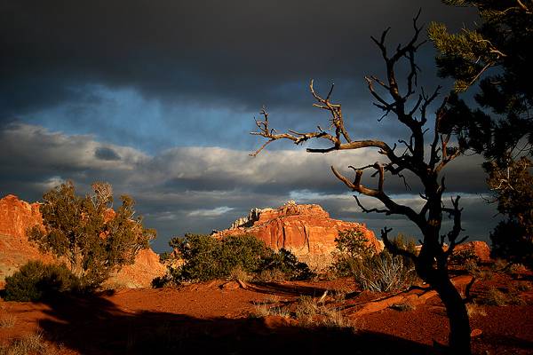 Capitol Reef Before Sunset