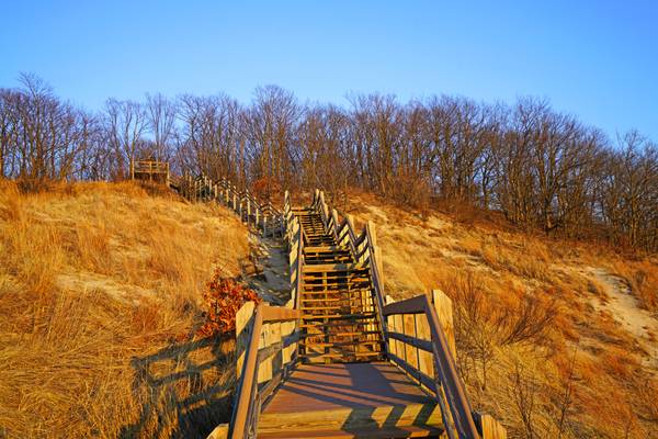 Wooden staircase in the dunes, Indiana Dunes State Park, USA