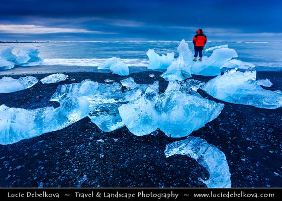 Iceland - Jökulsárlón Glacier Lagoon - Man & Pieces of Ice on the Black Sand Beach on shores of Atlantic Ocean