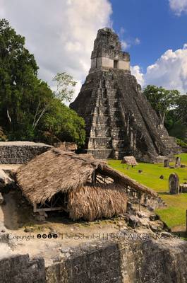 The Year of the Maya