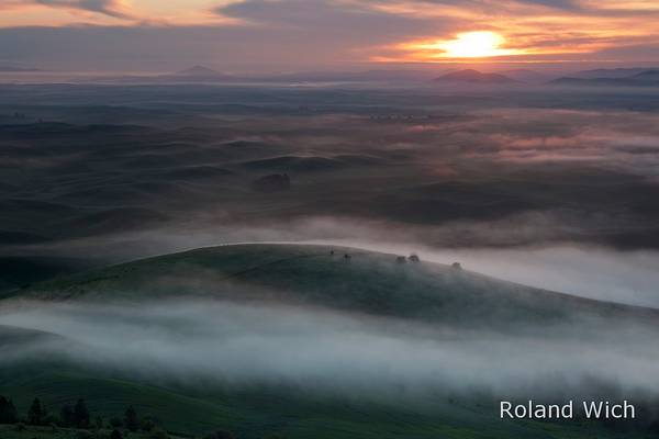 Palouse Morning