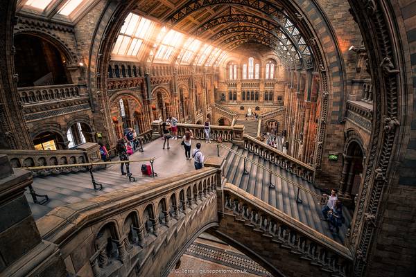 Darwin And Friends V2