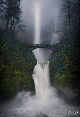 Witnessed by a Girl in a Skirt and Poncho