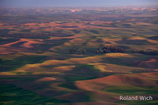 Palouse