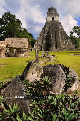 Mayan Rock Garden