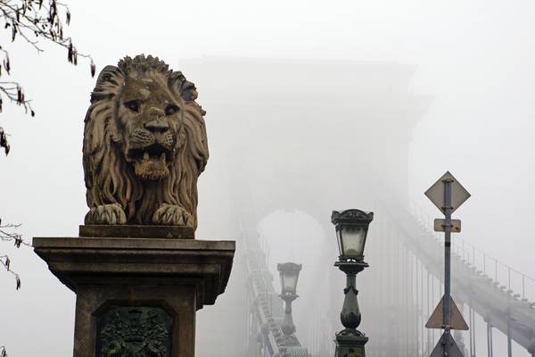 Foggy Budapest. Guardian lion of the Chain Bridge