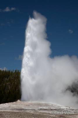 Yellowstone N.P. - Old Faithful Geyser