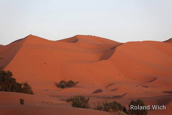Erg Chebbi