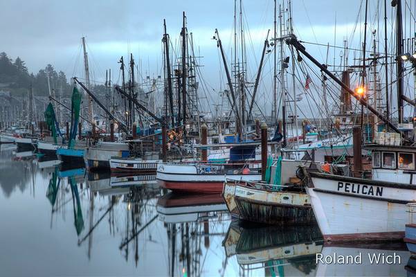 Newport Harbour