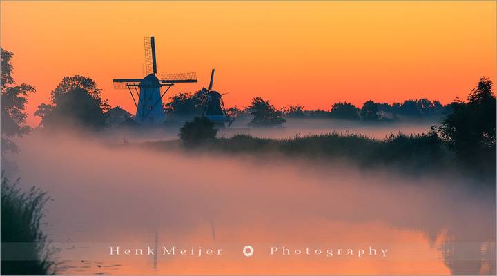 Morning Glory - Ten Boer - Netherlands